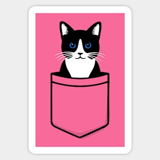 Pocket Cat Sticker